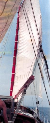 Main sail